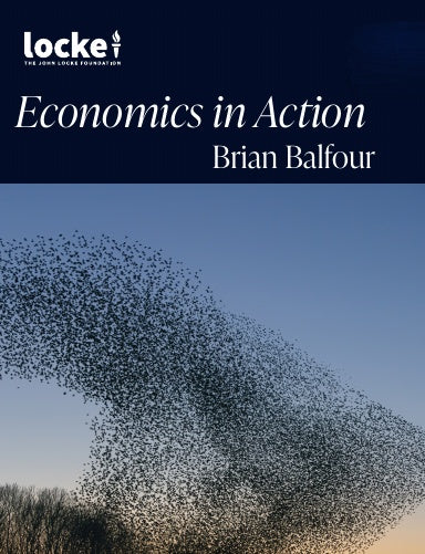 Book Cover Variant Thumbnail